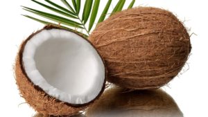 coconut processing unit