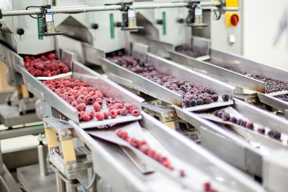 How to start a Food Processing Unit?