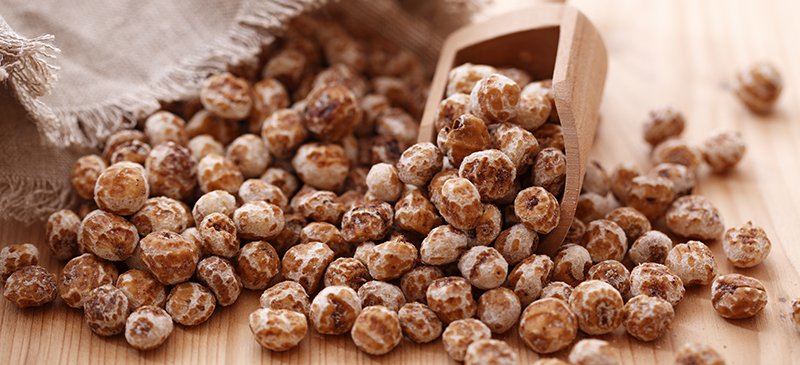 Tiger Nuts Processing Business