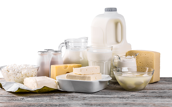 Business Potential in Dairy Industry