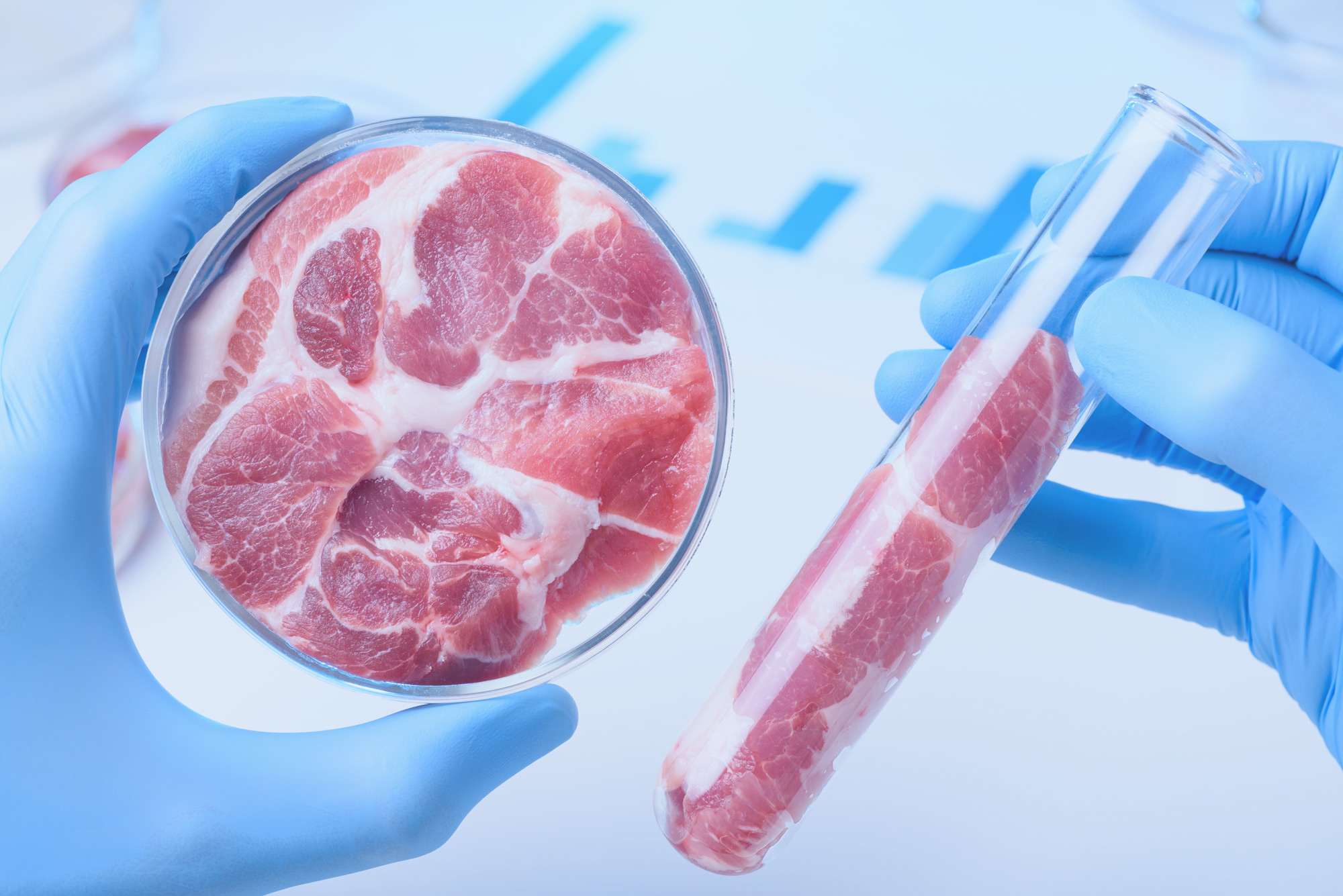 Lab grown/Cultured/Clean/Artificial Meat Production Business