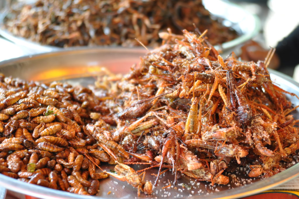 Edible Insect processing 1