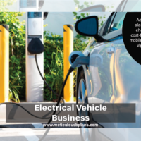 Electrical Vehicle Business