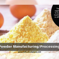 Egg Powder Manufacturing