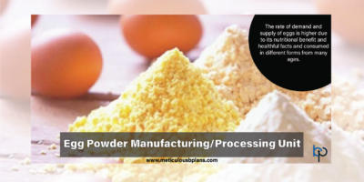 Egg Powder Manufacturing