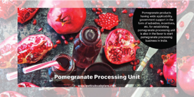 Pomegranate Processing