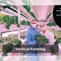Verticle Farming Business