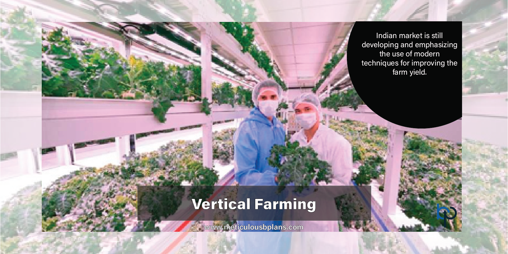 Verticle Farming Business