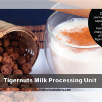 Tigernuts Processing Business