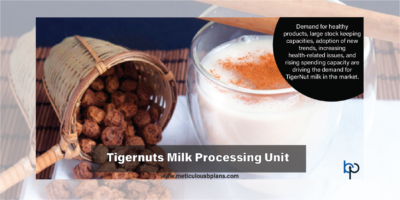 Tigernuts Processing Business