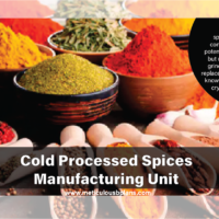 Cold Processed Spices Manufacturing