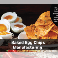 Baked Egg Chips Manufacturing