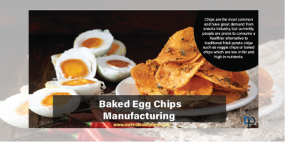 Baked Egg Chips Manufacturing