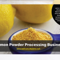 Lemon Powder Processing Business