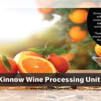 kinnow wine processing unit