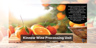 kinnow wine processing unit