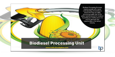 Biodiesel Processing