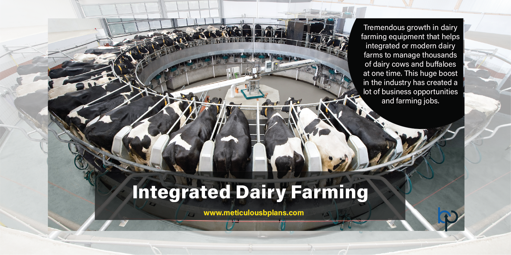 integrated-dairy-farming-meticulous-business-plans