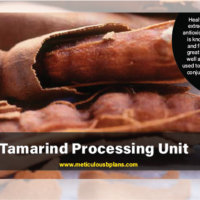 Tamarind Processing