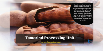 Tamarind Processing