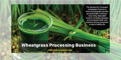 Wheatgrass Processing Business