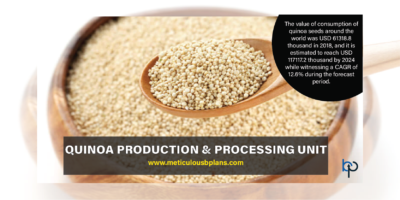 Quinoa Processing