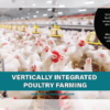 VERTICALLY INTEGRATED POULTRY FARMING - Meticulous BPlans