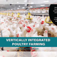 integrated poultry farming