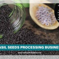 basil-seeds-processing-business