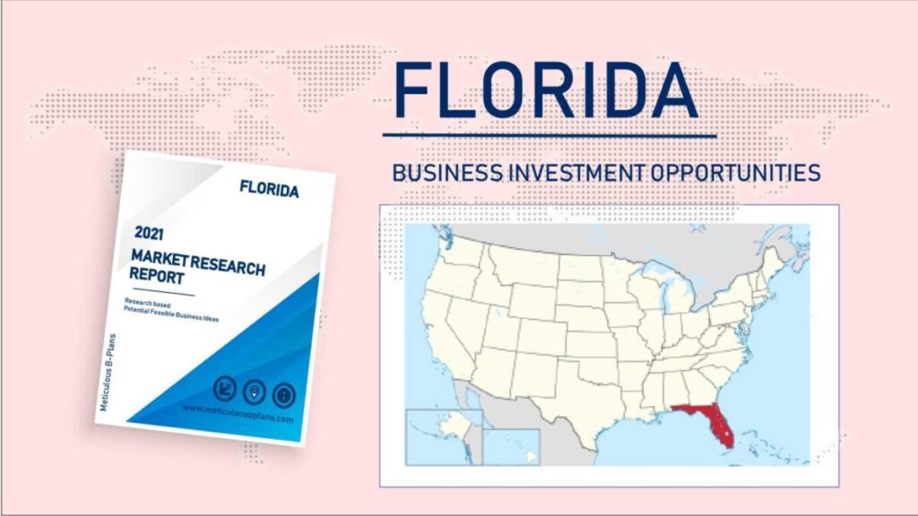 Florida startup business opportunities