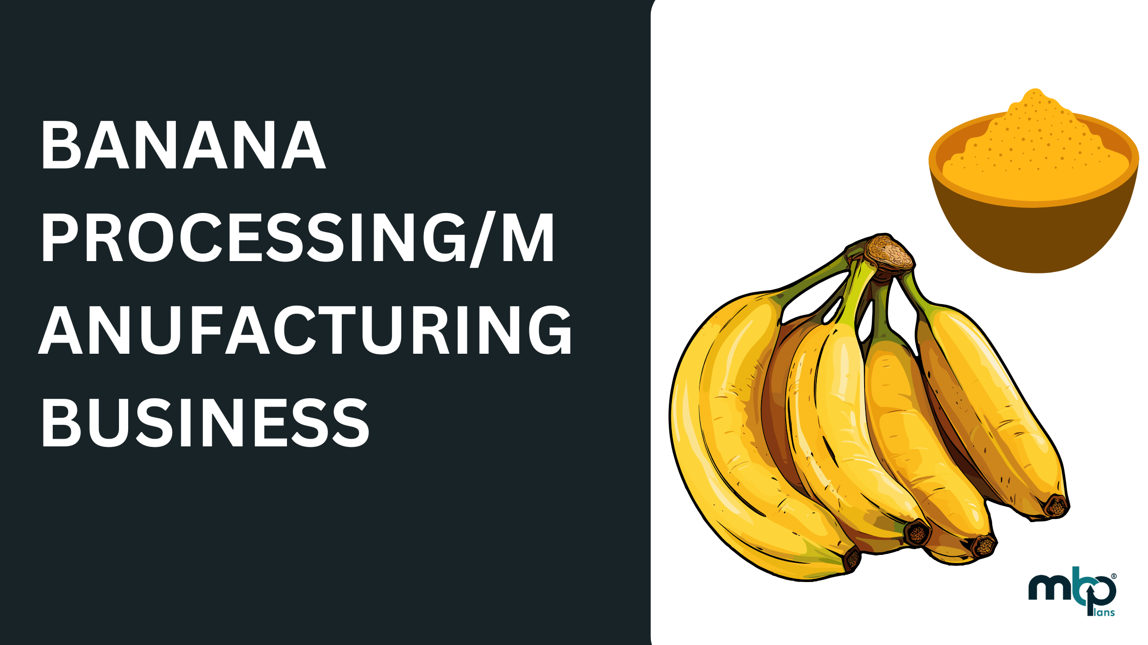 Banana Powder Processing Business