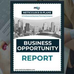 Business Opportunity Analysis Report