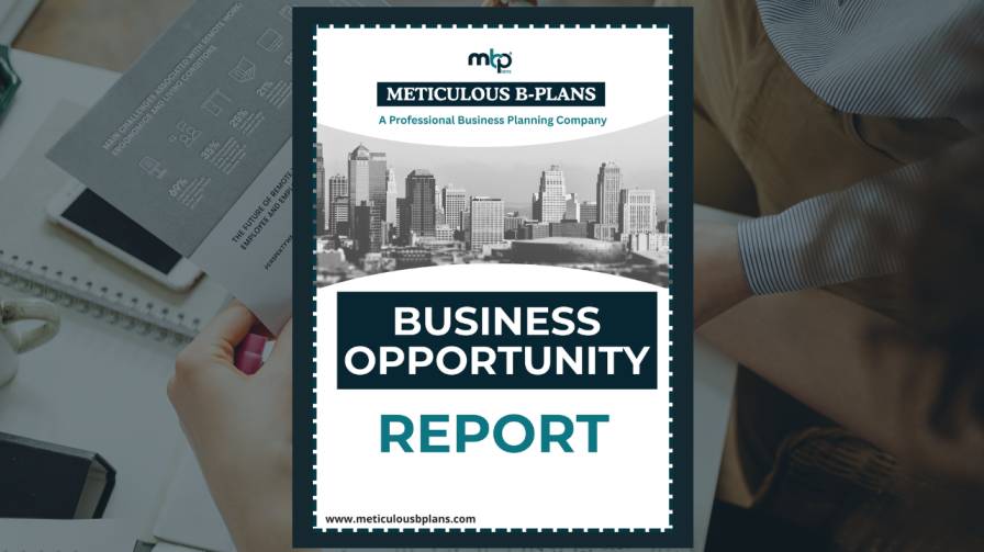 Business Opportunity Analysis Report