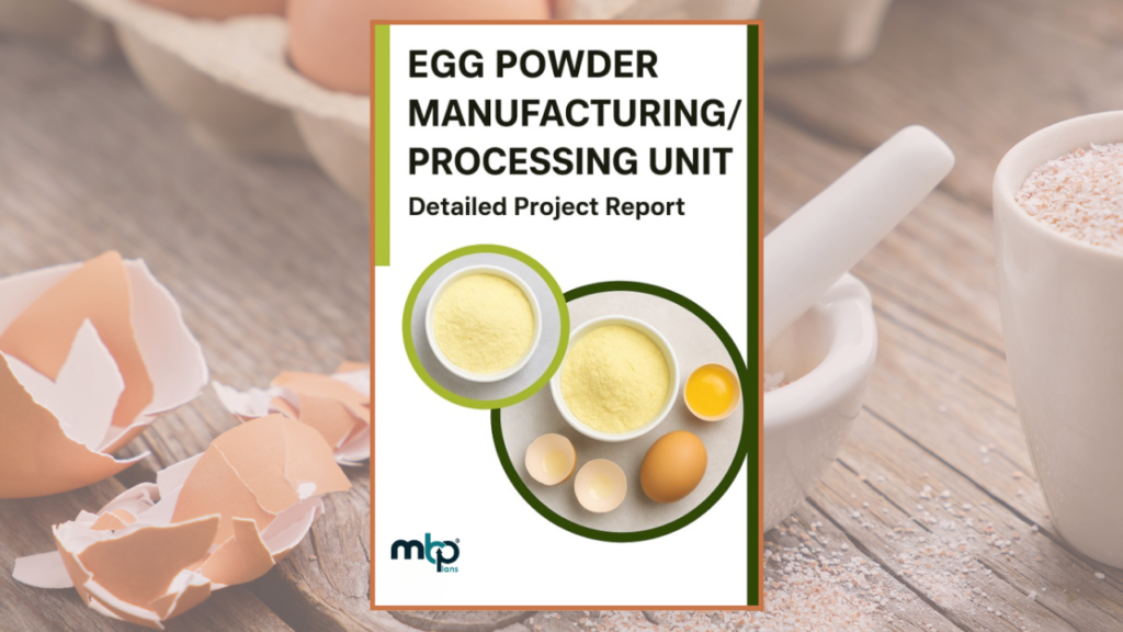 Egg Powder Processing Business