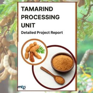 Tamarind Processing Business DPR