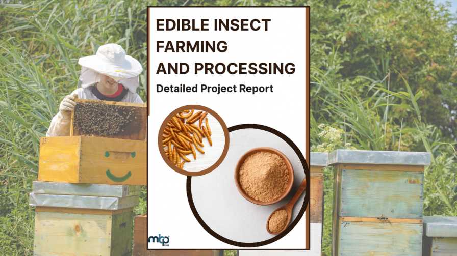 Edible Insect Farming - DPR