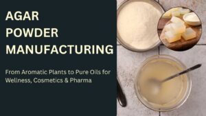 How to start agar powder manufacturing business