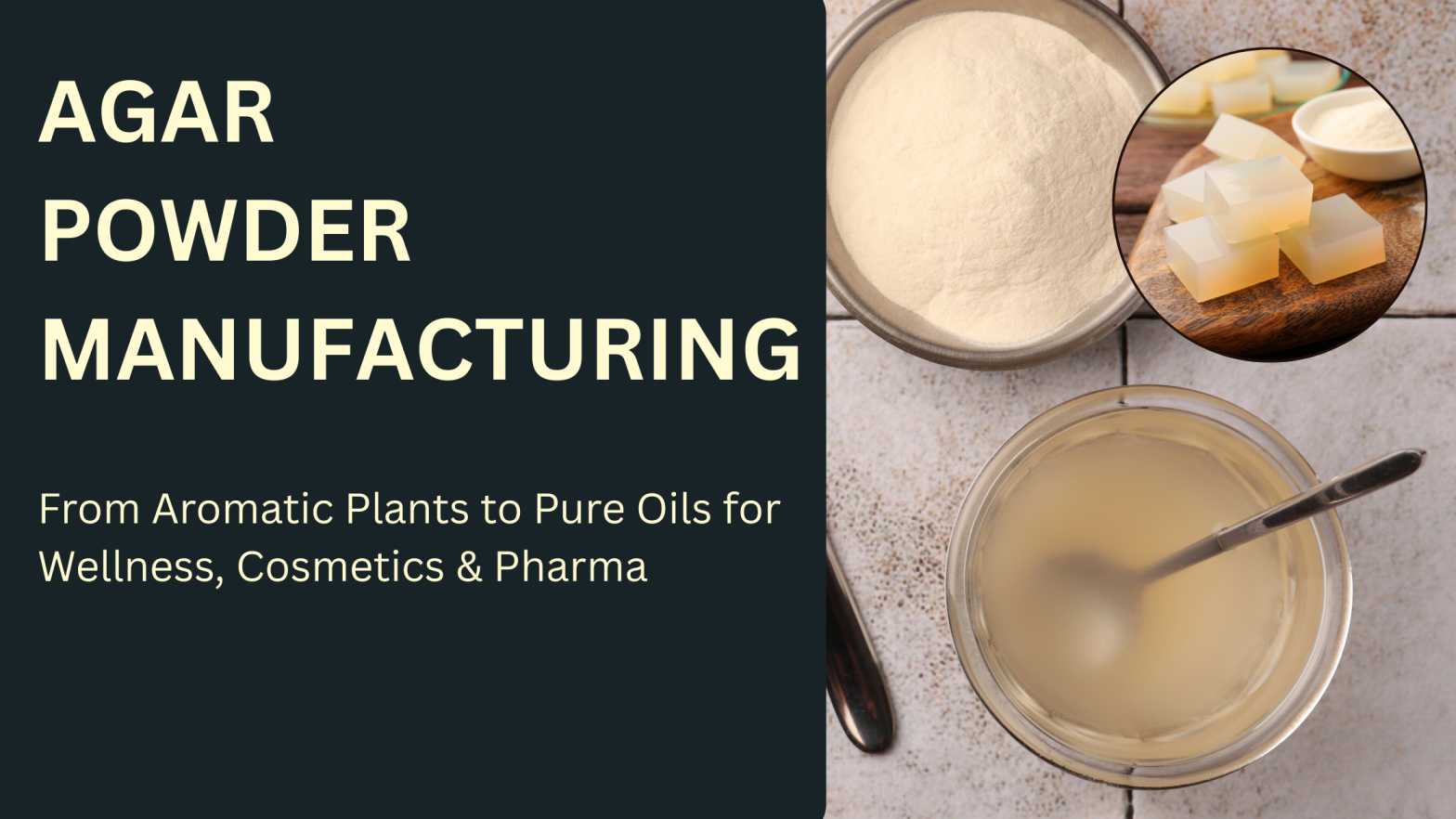 How to start agar powder manufacturing business