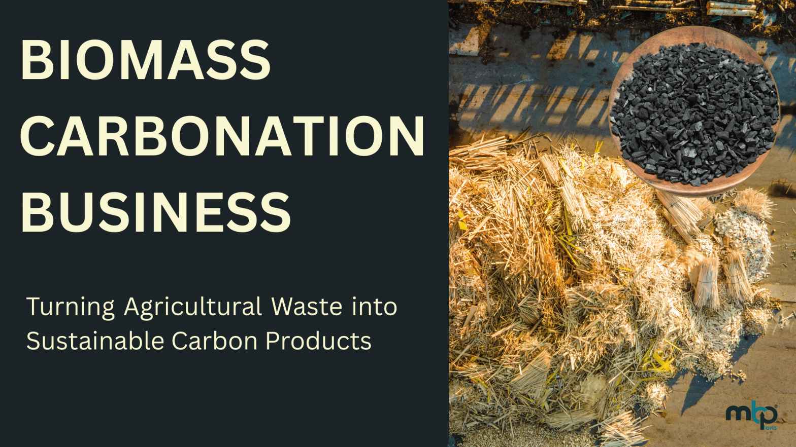 Biomass Carbonation