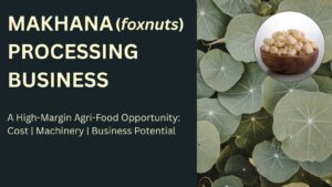 MAKHANA PROCESSING BUSINESS Opportunities