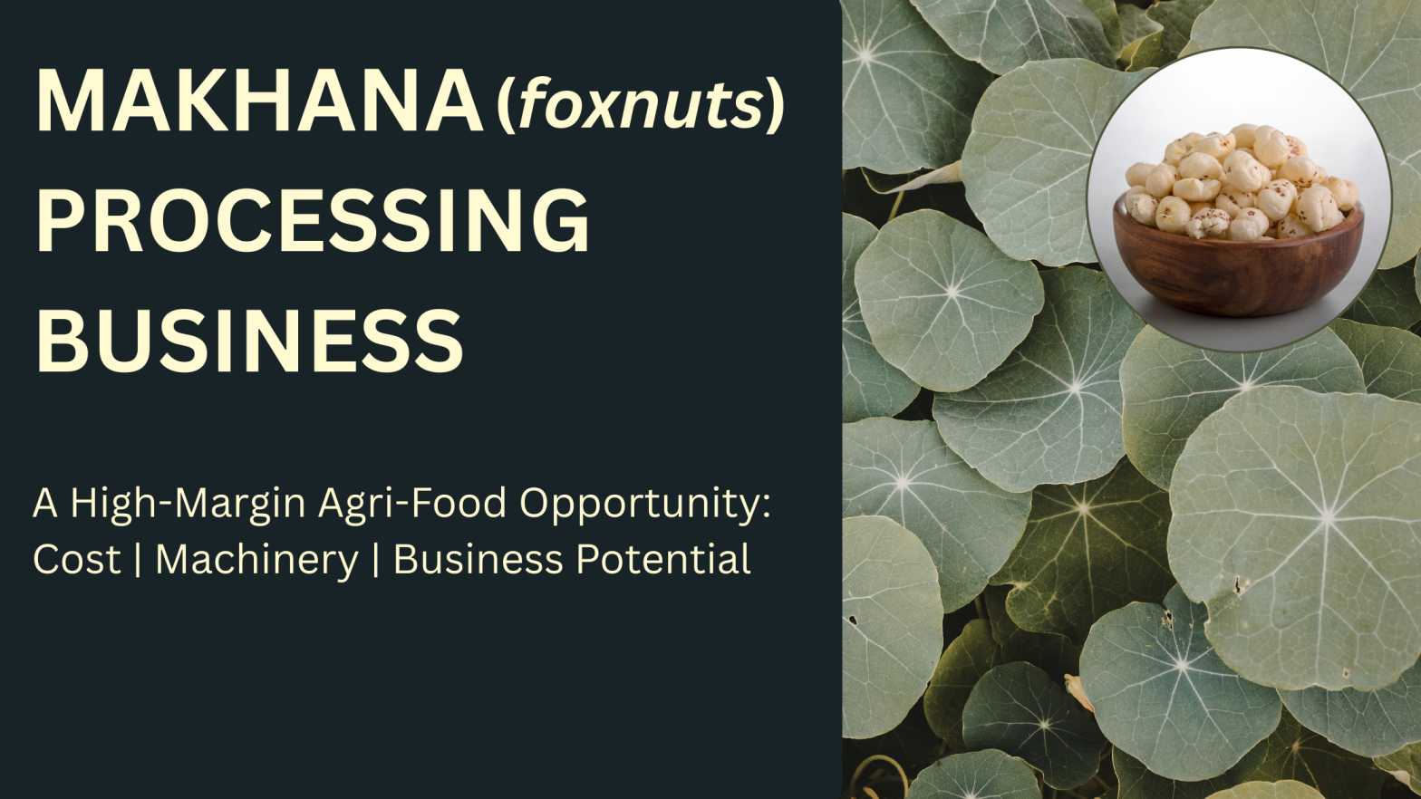 MAKHANA PROCESSING BUSINESS Opportunities