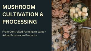 Mushroom Cultivation and Processing Business