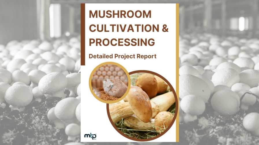 Mushroom Cultivation and Processing Unit