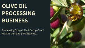 How to setup OLIVE OIL PROCESSING BUSINESS