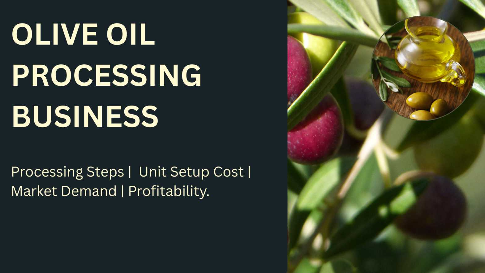 How to setup OLIVE OIL PROCESSING BUSINESS