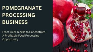 Pomegranate Processing Industry