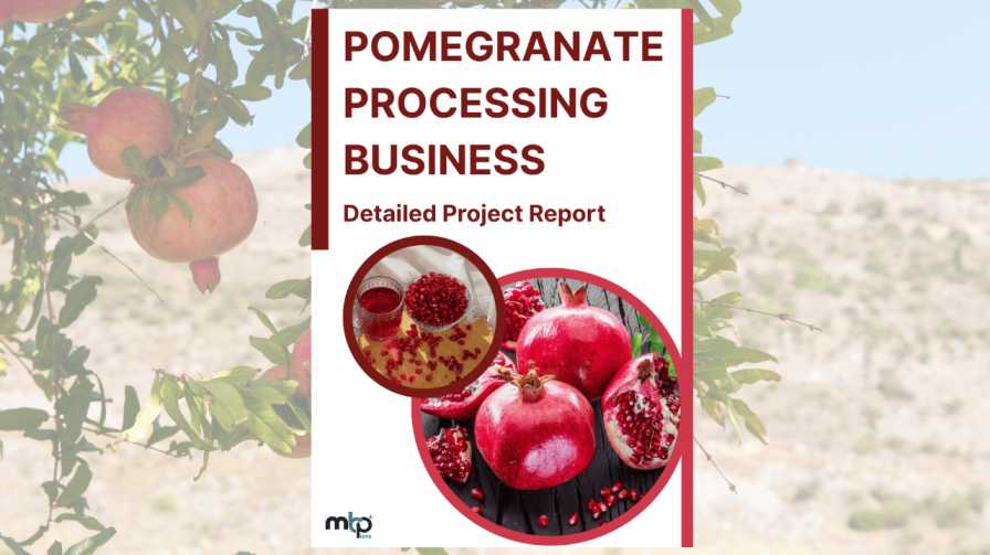Pomegranate Processing unit DPR