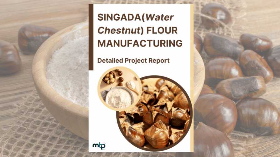 Singada (Water Chestnut) Flour Manufacturing DPR