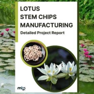 Lotus Stem Chips Business - DPR