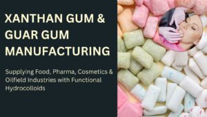Xanthan Gum Manufacturing Business